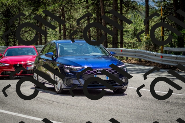 202506291330-DSC_3907_c2