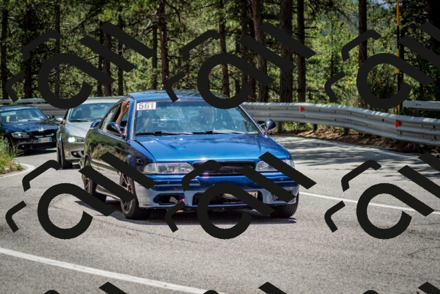 202506291330-DSC_3910_c2