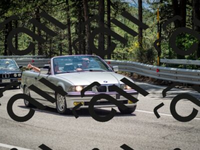 202506291330-DSC_3917_c2