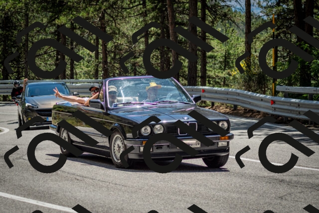 202506291330-DSC_3918_c2