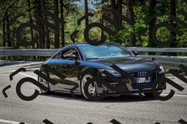 202506291333-DSC_3928_c2