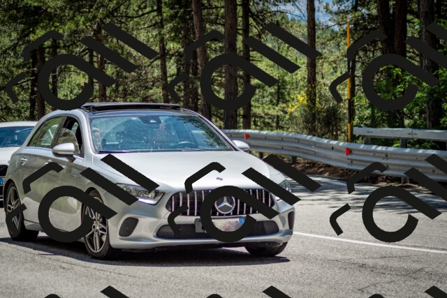 202506291333-DSC_3929_c2