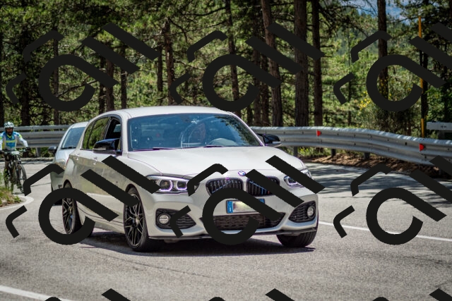 202506291333-DSC_3930_c2