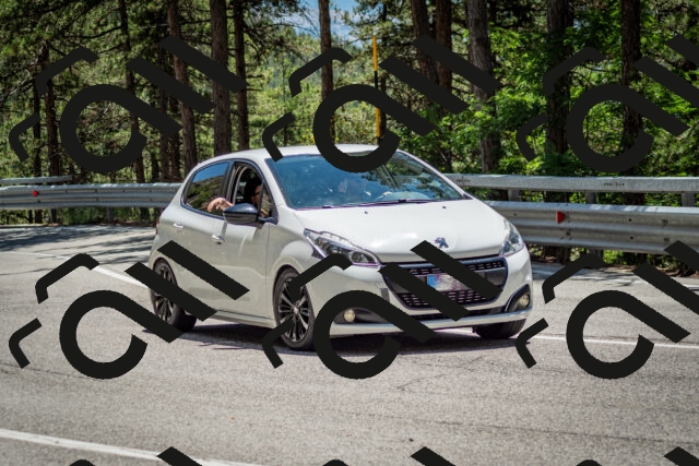 202506291333-DSC_3932_c2