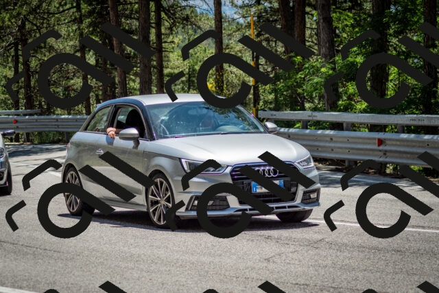 202506291333-DSC_3933_c2