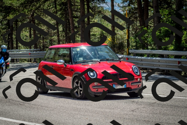 202506291333-DSC_3936_c2