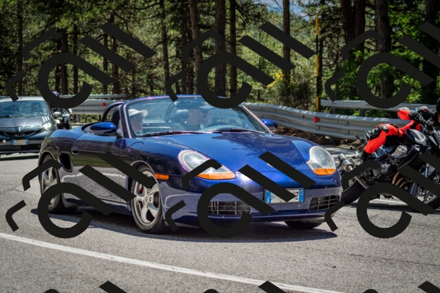 202506291333-DSC_3940_c2