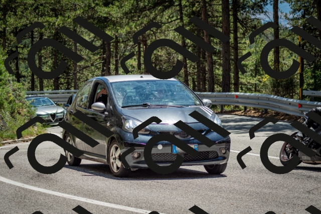 202506291333-DSC_3941_c2