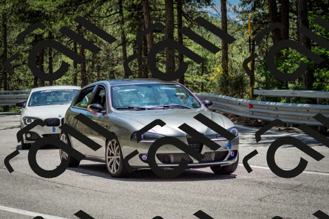 202506291333-DSC_3943_c2