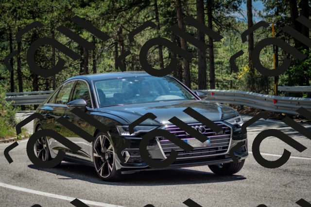 202506291334-DSC_3949_c2