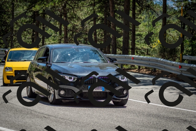 202506291334-DSC_3951_c2