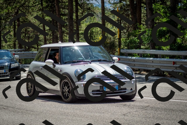 202506291335-DSC_3959_c2