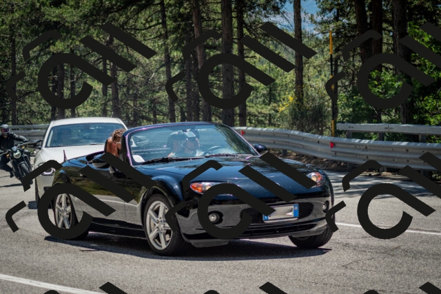 202506291335-DSC_3972_c2