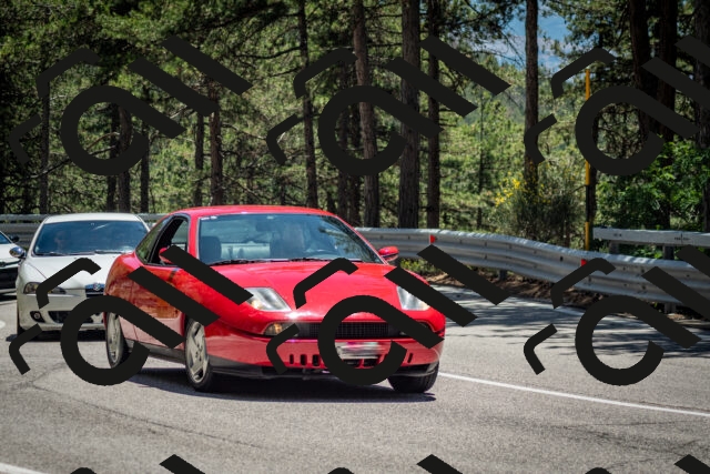 202506291336-DSC_3976_c2