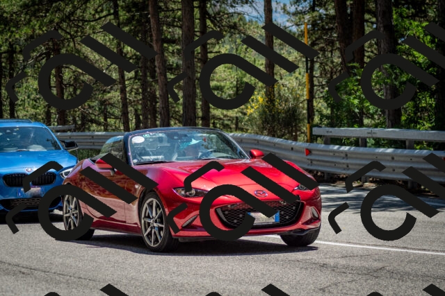 202506291336-DSC_3979_c2