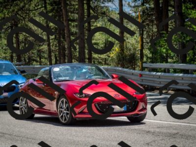 202506291336-DSC_3979_c2