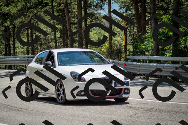 202506291336-DSC_3981_c2