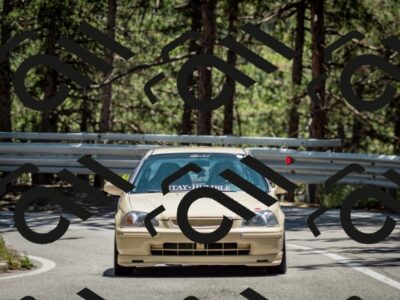 202506291338-DSC_3984_c2