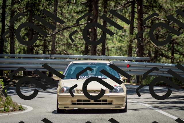 202506291338-DSC_3984_c2