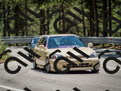 202506291338-DSC_3987_c2