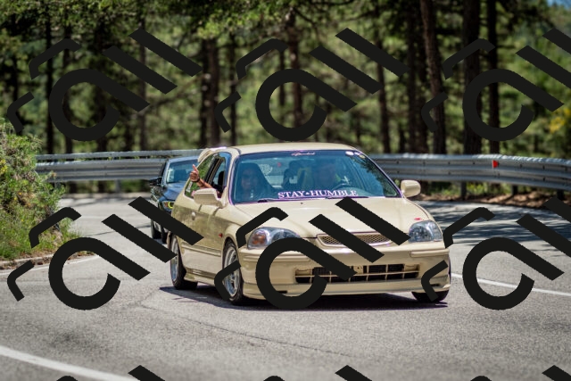 202506291338-DSC_3987_c2