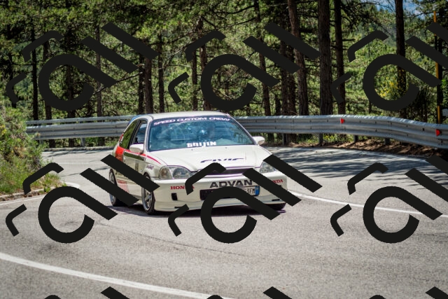 202506291338-DSC_3990_c2