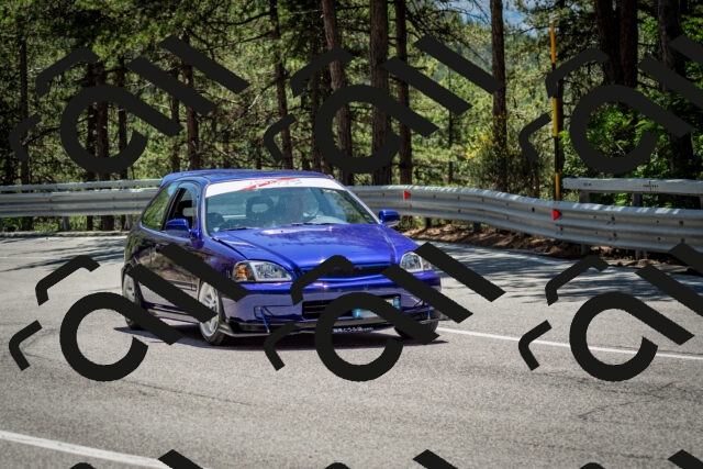 202506291338-DSC_3992_c2