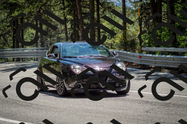 202506291338-DSC_3995_c2