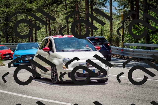 202506291345-DSC_4008_c2