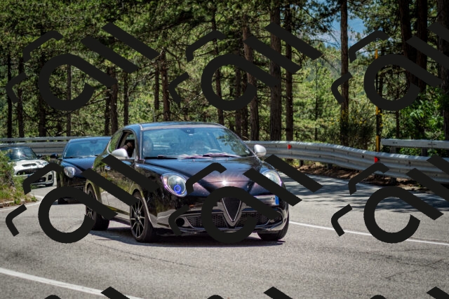 202506291345-DSC_4015_c2