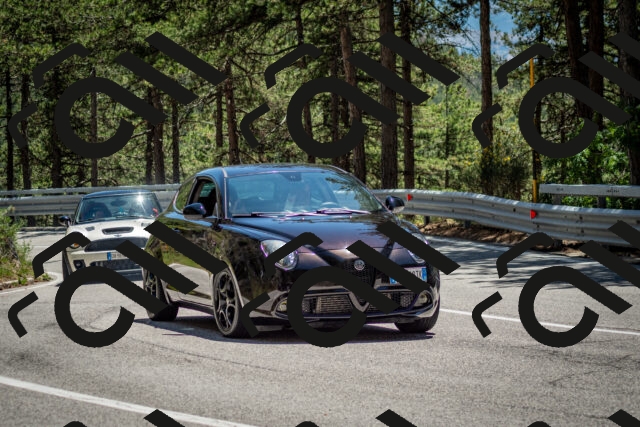 202506291345-DSC_4016_c2