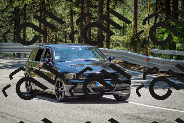 202506291346-DSC_4018_c2