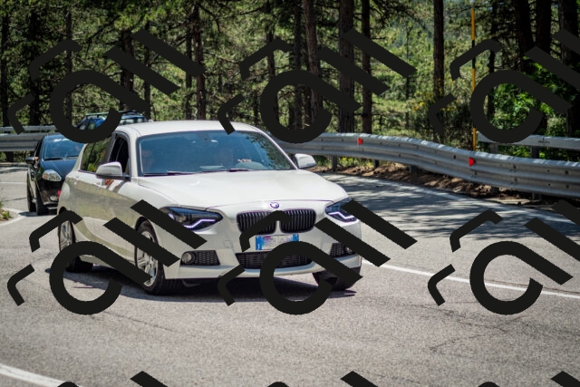 202506291346-DSC_4022_c2