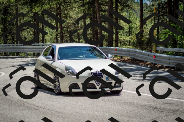 202506291347-DSC_4026_c2