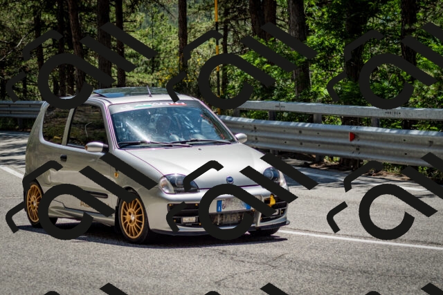 202506291347-DSC_4027_c2