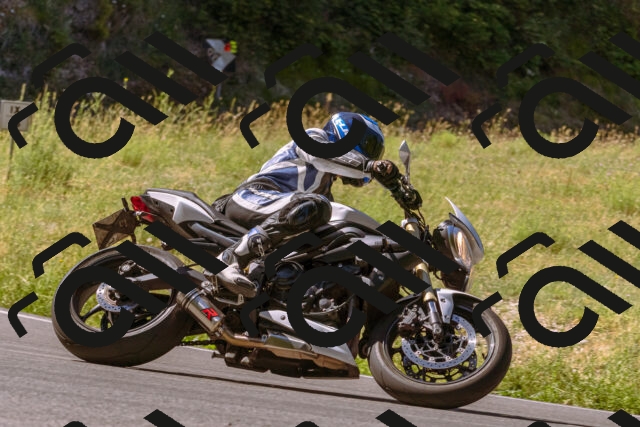 202506291029-_DSC1221_d1_