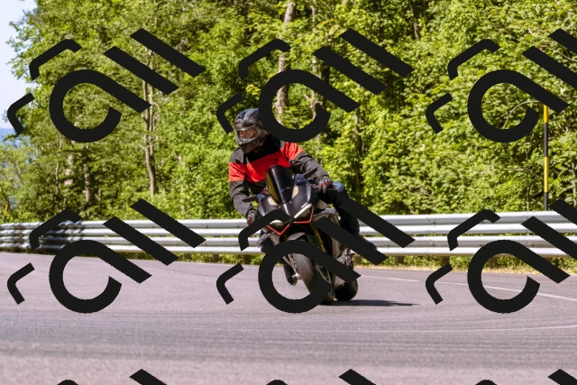 202506291029-_DSC1223_d1_