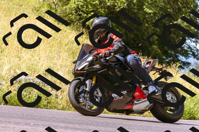 202506291029-_DSC1226_d1_