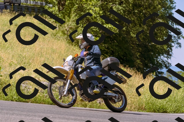 202506291033-_DSC1260_d1_