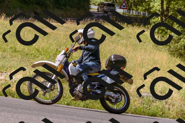 202506291033-_DSC1261_d1_