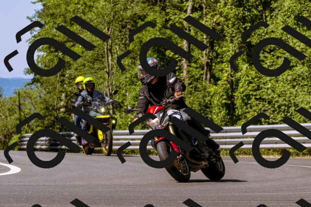 202506291033-_DSC1263_d1_