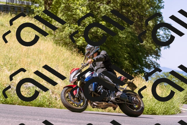 202506291033-_DSC1265_d1_