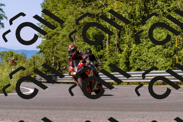 202506291034-_DSC1273_d1_