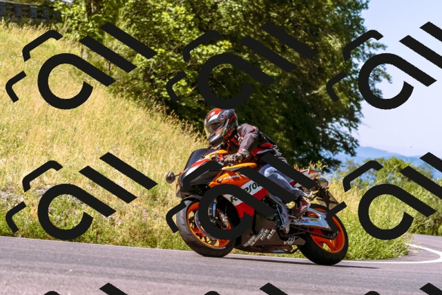 202506291034-_DSC1275_d1_