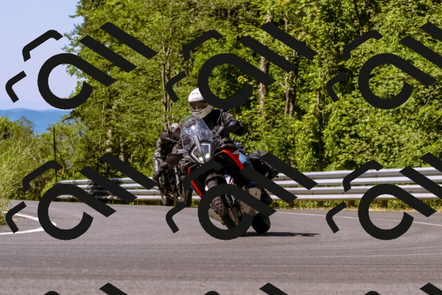 202506291036-_DSC1286_d1_