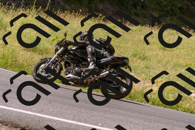 202506291036-_DSC1293_d1_