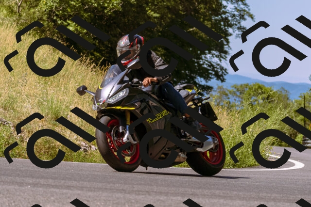 202506291038-_DSC1310_d1_