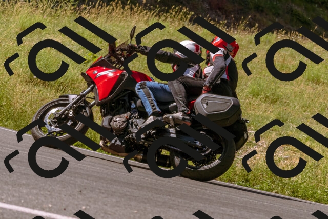 202506291042-_DSC1338_d1_