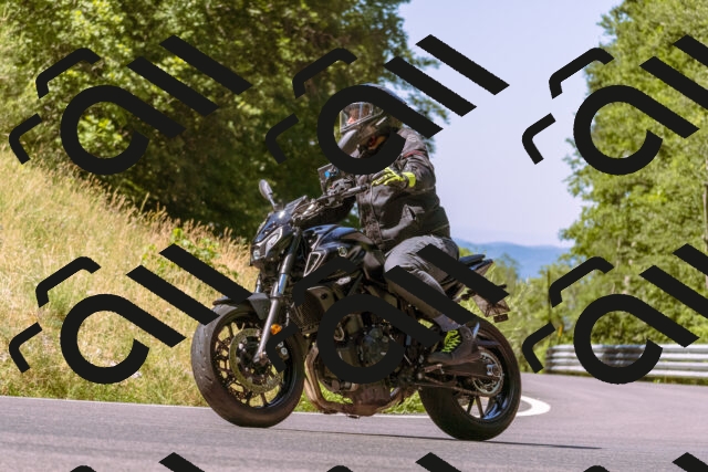 202506291048-_DSC1362_d1_