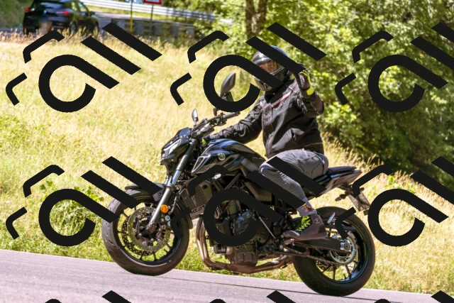 202506291048-_DSC1363_d1_